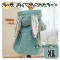うさぎ アウター コスプレ XL 新品 犬服 猫服 ペットウェア ドッグウェア