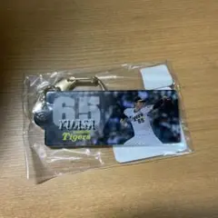 Item thumbnail for item 318547d4-a2c5-4833-9ca6-cf7c354fc2df