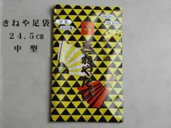 Item thumbnail for item d913d432-079c-4943-9ccb-c93134f3508a