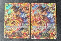 サボ　シークレット　2枚セット