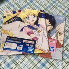 Item thumbnail for item a7b7c331-2bc0-46c6-a46d-afd5c0f66346