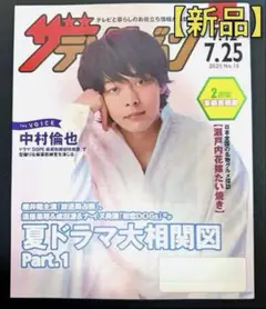 【非売品】ザテレビジョン 2025年7月12日号 中村倫也 表紙 夏ドラマ特集
