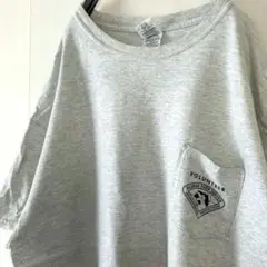 ギルダン ボランティア フロリダパーク ポケット Tシャツ XL グレー 古着