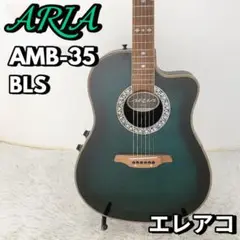 エレアコARIA AMB-35アコースティックギターソフトケース付き弦