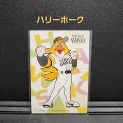 カルビープロ野球チップス2025 ソフトバンク ハリーホーク