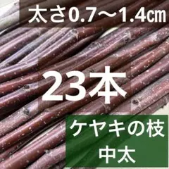 Item thumbnail for item 372a58f4-398b-4f61-8d3e-dad6d079a585