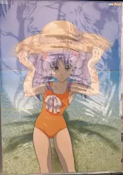 ホシノルリ B全ポスター 美品暗所保管 （Yahoo!オークション