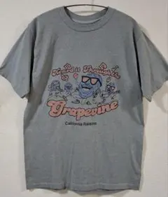 90s ヴィンテージ【カリフォルニア・レーズンズ 】Tシャツ グレー　アメカジ