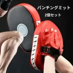赤いパンチングミット 2個セット　パンチングミット 2点左右両用 ボクシング