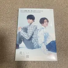 美しい彼 Official Visual Book