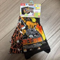 バンダイ 恐竜　最強王図鑑　ボクサーパンツ 110サイズ 2枚セット