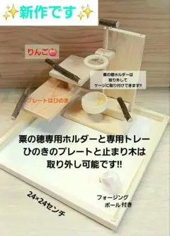 Item thumbnail for item 1a120b1f-03da-40c1-a2f8-dbb33109126a