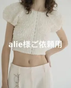 alie様ご依頼用サイズ2