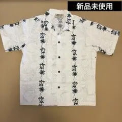 Item thumbnail for item 209a1004-62ee-460d-8d20-d0baafb8d60d