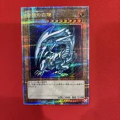 青眼の白龍5枚セット 遊戯王 青眼の白龍 初期 5枚セット まとめ売り ブルーアイズ