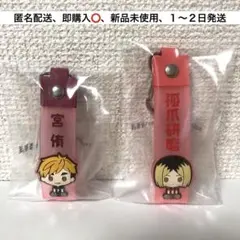 【ハイキュー】一番くじ　10th anniversary ぽこっとちゃーむ　2個
