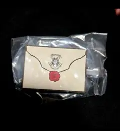 ハリー・ポッター カプセルヘアクリップ ガチャ ホグワーツ入学許可証②