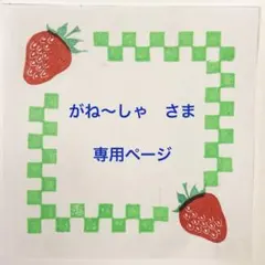 がね〜しゃさま　専用ページ