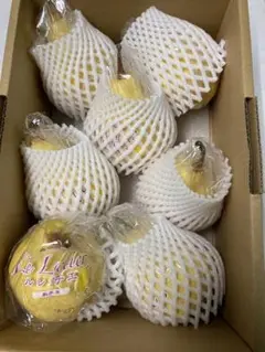 ル レクチエ