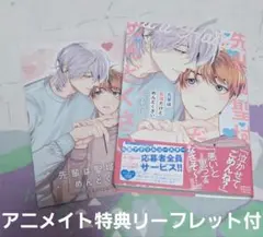 先輩は聖域だけどめんどくさい　ニ須りぃ　アニメイト特典リーフレット付　BL新刊