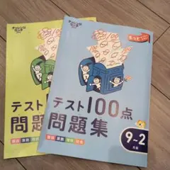 テスト100点問題集 9~2 & 4~7チャレンジタッチ3年生