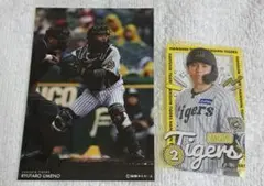 梅野隆太郎　RAFFLE ラッフル　阪神タイガースくじ　2点セット
