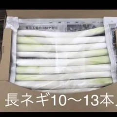 減農薬 L〜2Lサイズです 鍋物に最適‼️