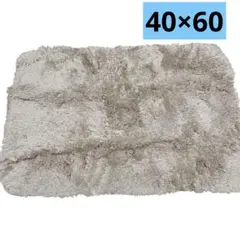 Item thumbnail for item f0b939d6-1bfc-42b7-9bca-d516d04e10a7