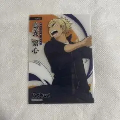 【未使用】ハイキュー!! 烏養繋心 コーチ クリアカードコレクション【匿名配送】