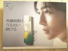 高橋文哉 ソフィーナip 販促ポップ 未使用