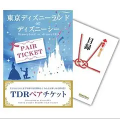 二次会景品 東京ディズニーランド or ディズニーシー ペアチケット 引換券
