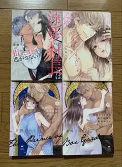 瑞樹くんの愛が重すぎる 他 宮崎うの TLコミック ティーンズラブ 女性漫画