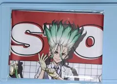 Dr.STONE 福くじ A賞 ビジュアルクロス