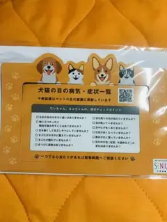 【新品】可愛いフォトフレーム　犬　猫　マグネット　千寿製薬
