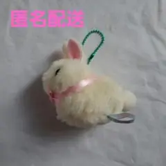 うさだまちゃん　ぷちぐるみ　ぬいぐるみ　マスコット　うさぎ　BC
