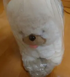 BURNTHEWITCH ぬいぐるみ オスシちゃん BURN THE WITCH オスシちゃんぬいぐるみ <12月下旬お届け予定