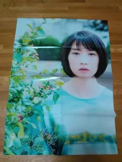 のん(能年玲奈)　ポスター　激レア30枚　圧巻のB1サイズ　タワーレコード 2025年最新】能年玲奈ポスターの人気アイテム - メルカリ