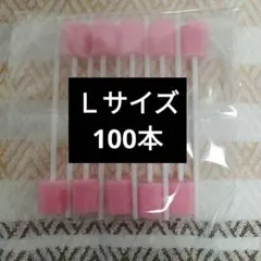 Item thumbnail for item f4073424-9004-4d25-90a0-caaed5d76a12