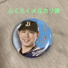 オリックス　バファローズ　若月健矢 2 缶バッチ　ジュニア会員　入場特典　非売品