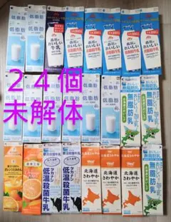 牛乳パック　24本　紙パック　未解体　折りたたみ　工作　ハンドメイド　複数銘柄