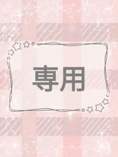 専用ページ