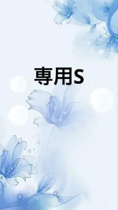 専用S
