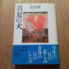 真夏の犬