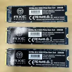 AXE MEMORY NVMe M.2 SSD 256GB