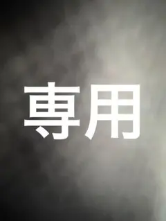 専用