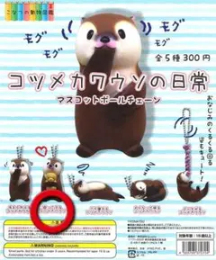 コツメカワウソの日常 マスコットボールチェーン 抱っこするコツメカワウソ