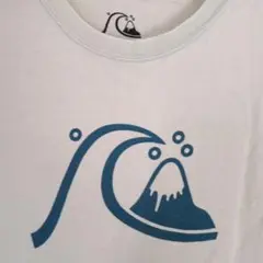 クイックシルバープリントTシャツМ　うすグリーン