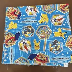 ポケモンはぎれ