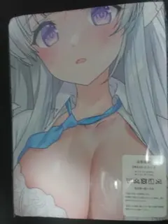 【抱き枕カバー】ブルーアーカイブ ブルアカ 生塩ノア ⑥-3