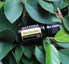 66　新品未開封｜doTERRAドテラウィンドエレベーション15ml　販売終了品 66 新品未開封｜doTERRAドテラウィンドエレベーション15ml 販売